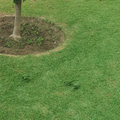 Klara, färdiga… gå!