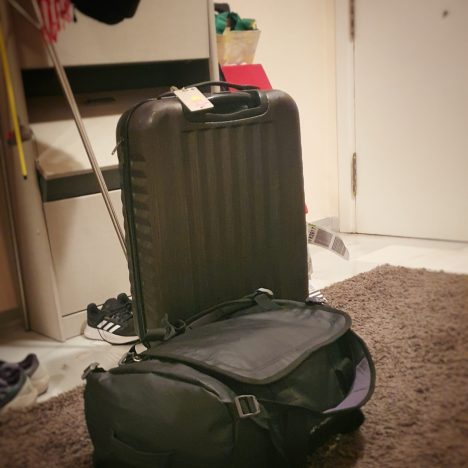 Dag 13: Spagettiben och skumgummihjärna